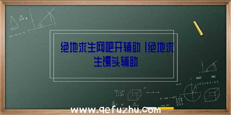 「绝地求生网吧开辅助」|绝地求生馒头辅助